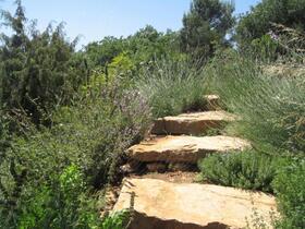 Proprit  vendre Cotignac (83570) : Elgante proprit avec trs belle vue