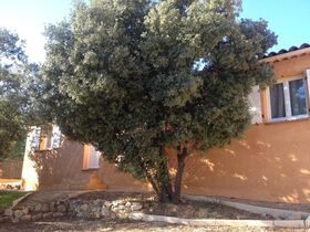 Villa / Propri�t� � vendre Cabasse (83340) : Villa r�cente, au calme et proche de Brignoles