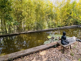 Villa / Proprit  vendre Carcs (83570) : Proprit sur plus de 3,6 Ha, avec plusieurs btis, vue splendide et calme absolu.