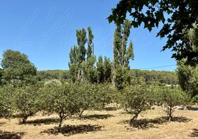 Proprit  vendre Cotignac (83570) : Unique sur Cotignac, idal pour investisseur